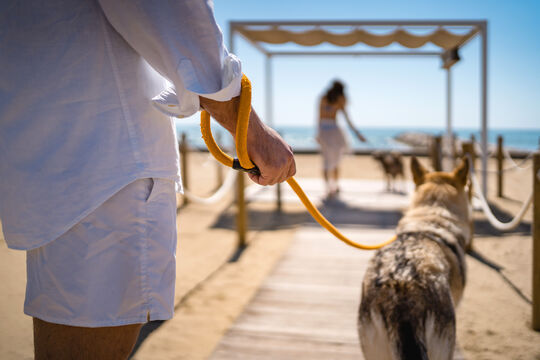 Area per animali domestici presso la spiaggia Baia Blu