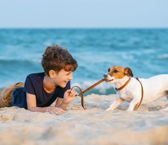 Pareus Beach Resort Ihr Hund will Urlaub