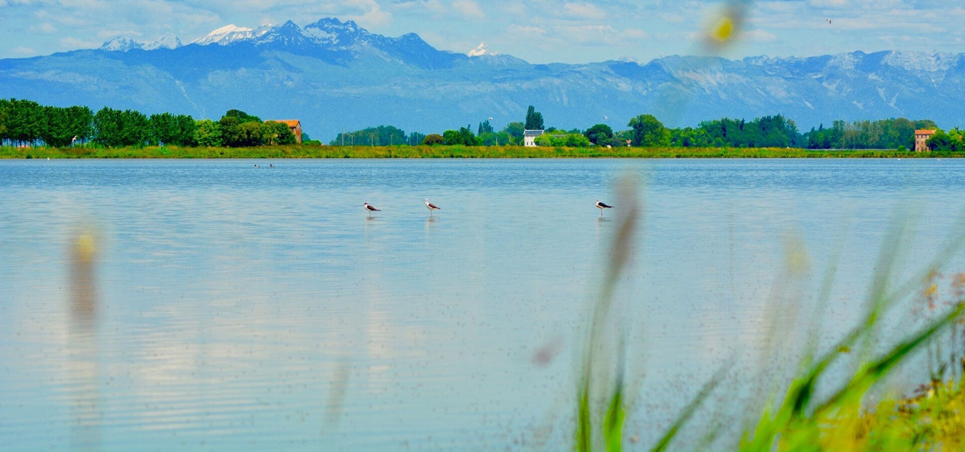 Bild Reisefelder Venetien La Fagiana Pareus Resort zug