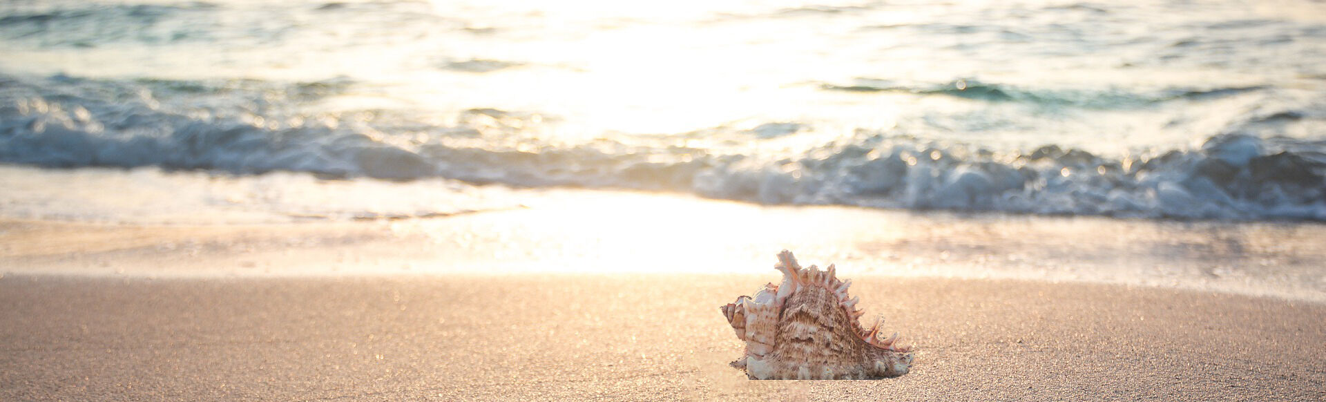Bild Pareus Beach Resort Caorle Ferienwohnungen und Villen in Italien