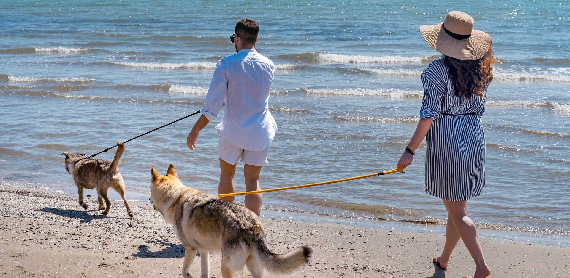 Strandspaziergang mit Hund