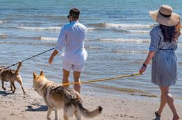 Strandspaziergang mit Hund