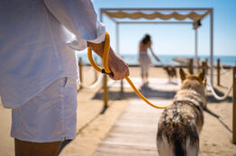 Baia Blu Beach - Cani, Hunde, Dogs